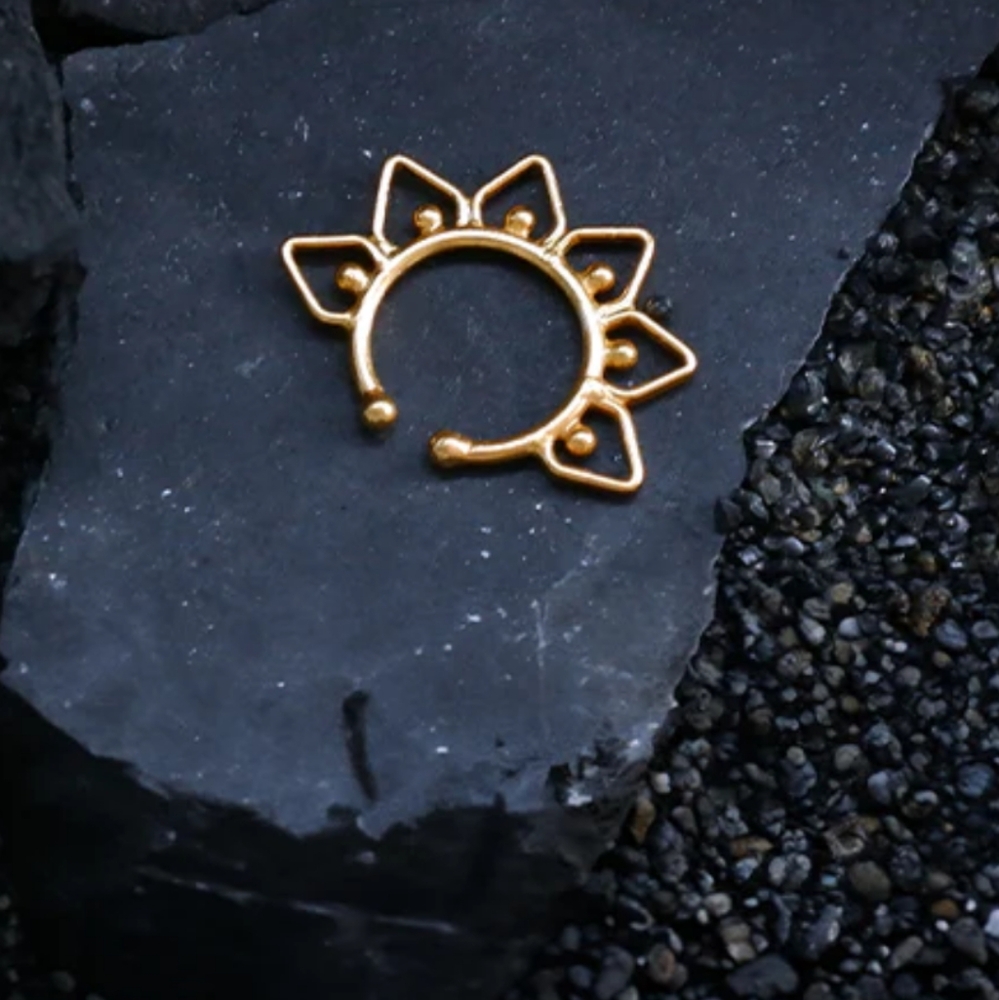 Fake septum nose ring - Picture 3 of 7